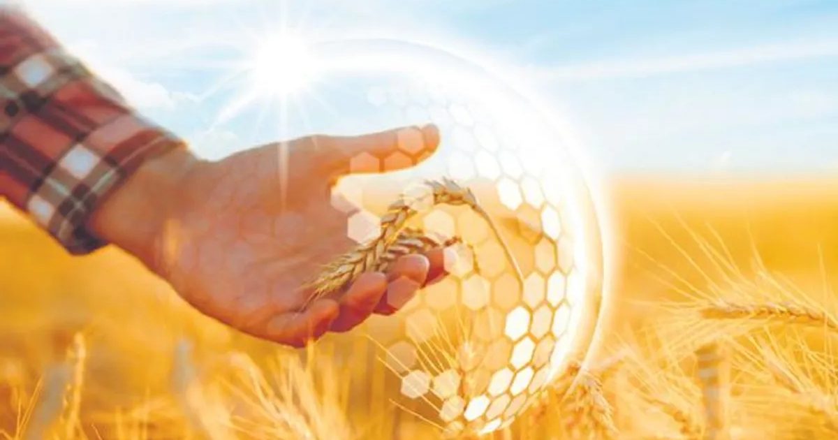 TARSIM Disburses 6.6 Billion Lira in Crop Damage Payments to Farmers