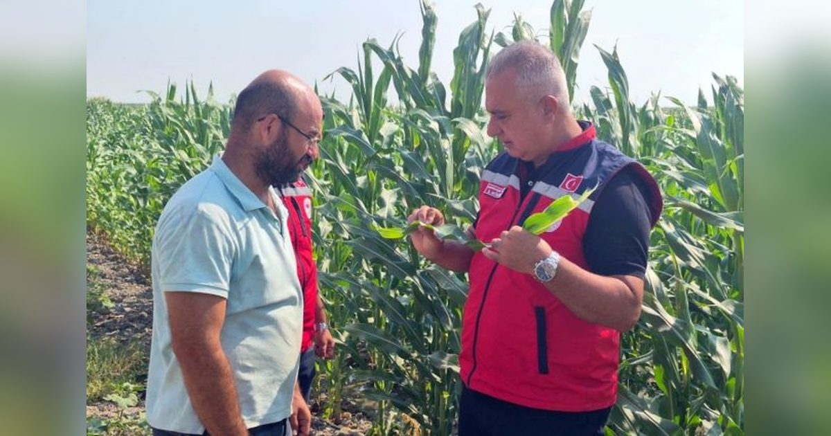 Hatay'da Arıcılık ve Mısır Üretimine Saha İncelemesi