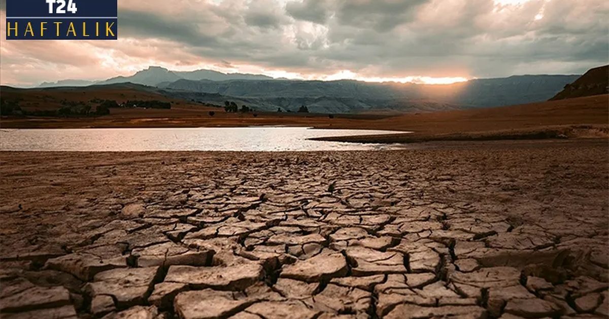 Extreme Drought Hits European Agriculture and Livestock