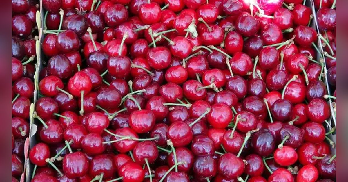 Record Harvest in Fruits Despite Currency Pressure on Exports