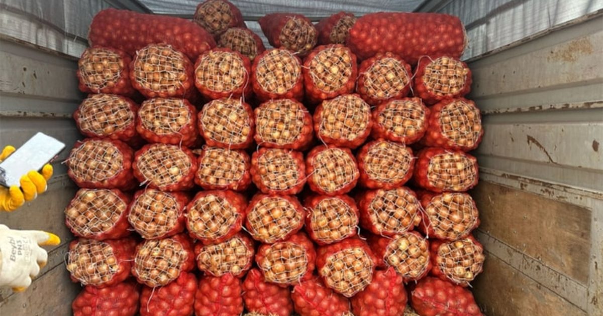 Düşük Vergili Soğan İthalatı Yerli Üreticiyi Vurdu