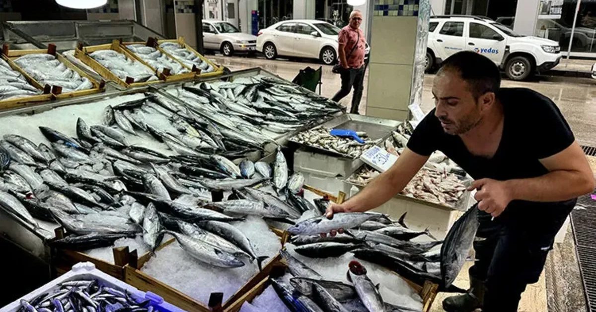 Bonito and Torik Fishing Season Brought Forward