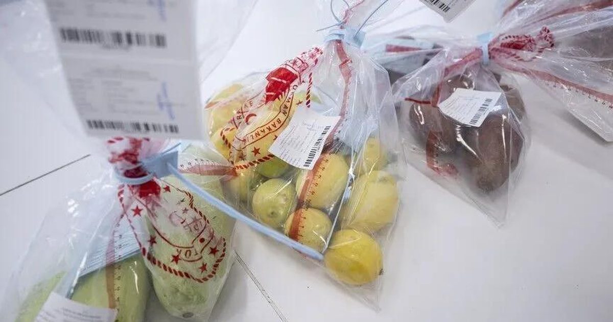 Denizli Granted New Authority in Food Import Inspections