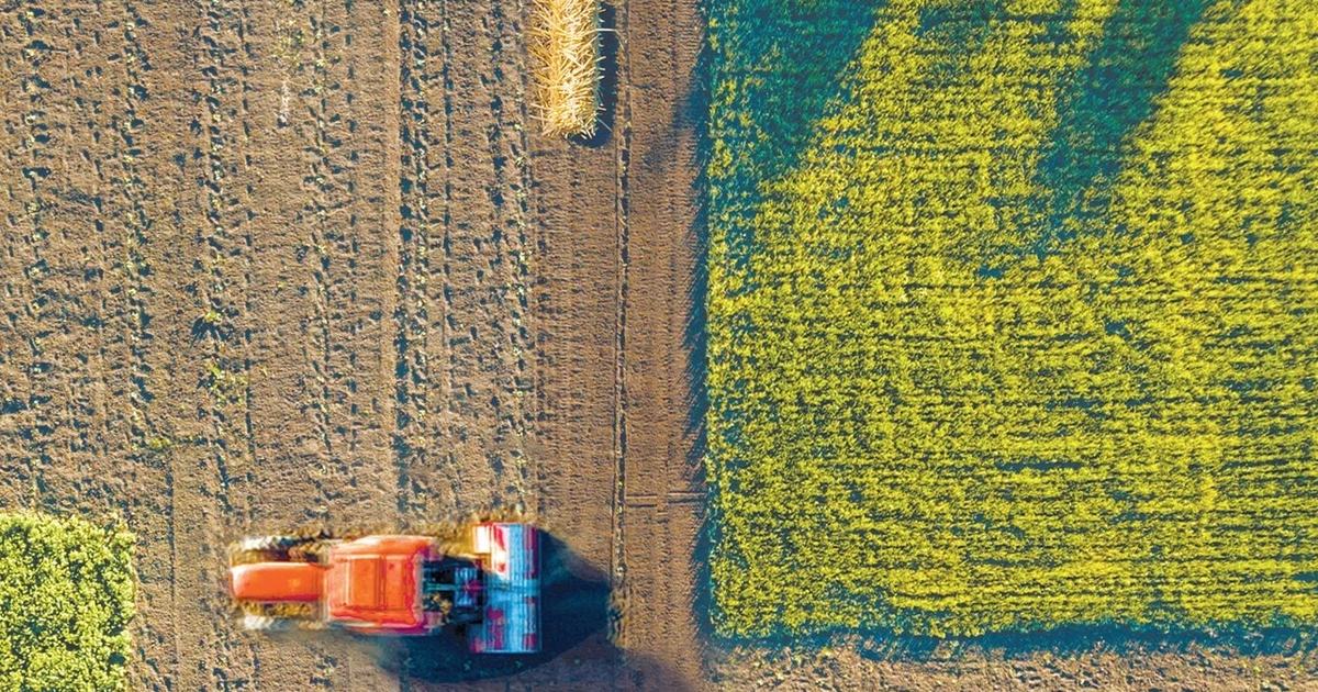 Yeni Nesil Girişimciler Tarım ve Hayvancılıkta Ölçek Büyütüyor