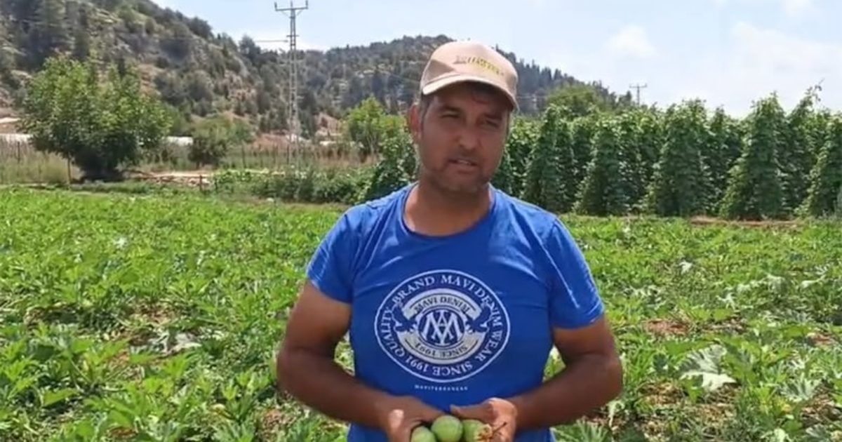 Mersin'de Üreticiden Tarla Market Fiyat Uçurumuna Tepki