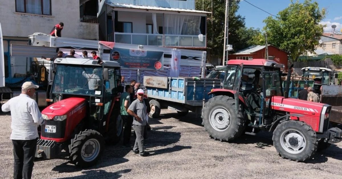 Kemaliye'de Çiftçiye Yüzde 75 Hibeli Mercimek Tohumu Dağıtıldı