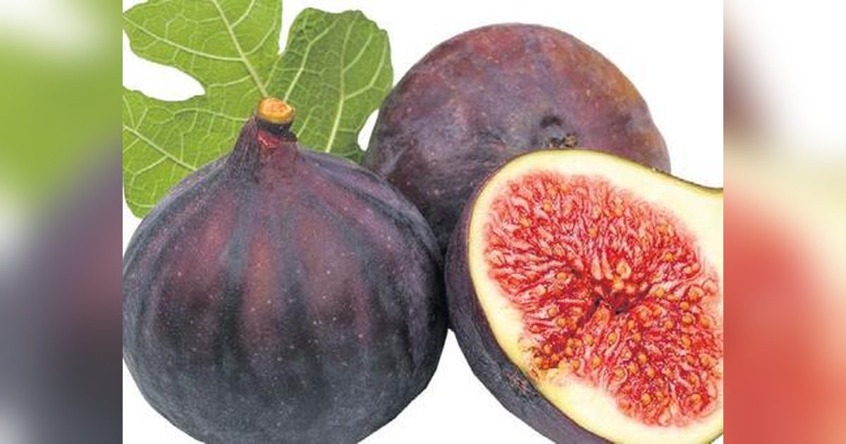 Fresh Fig Price Discrepancy Between Roadside Stalls and Supermarkets