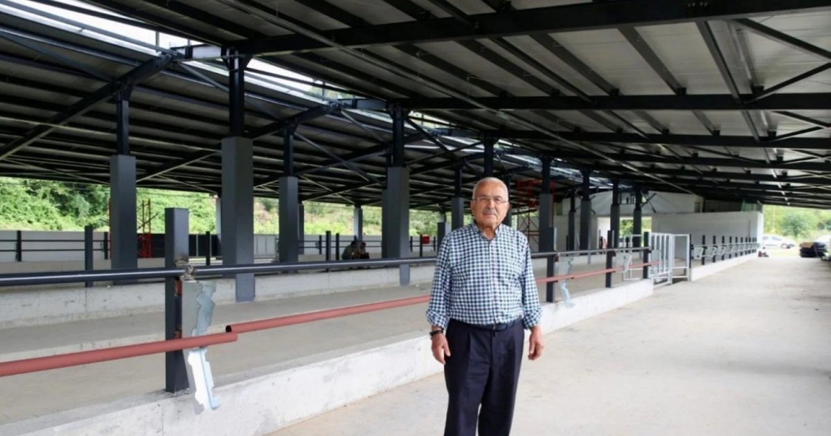 Fatsa'da Damızlık Düve Yetiştirme Merkezi Tamamlanıyor