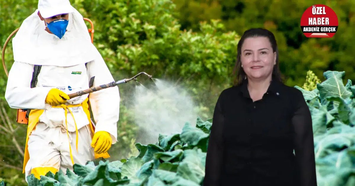 Pesticide Use in Antalya Driven by Production Volume