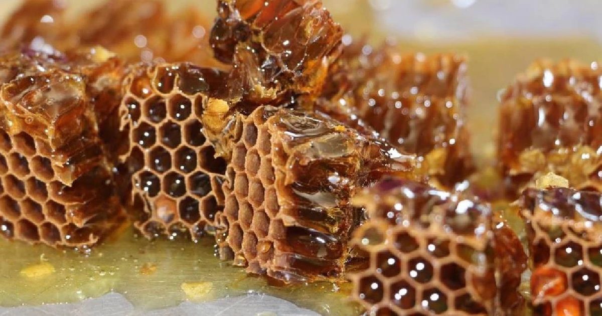Turkey Aims for Leadership in Global Honey Production
