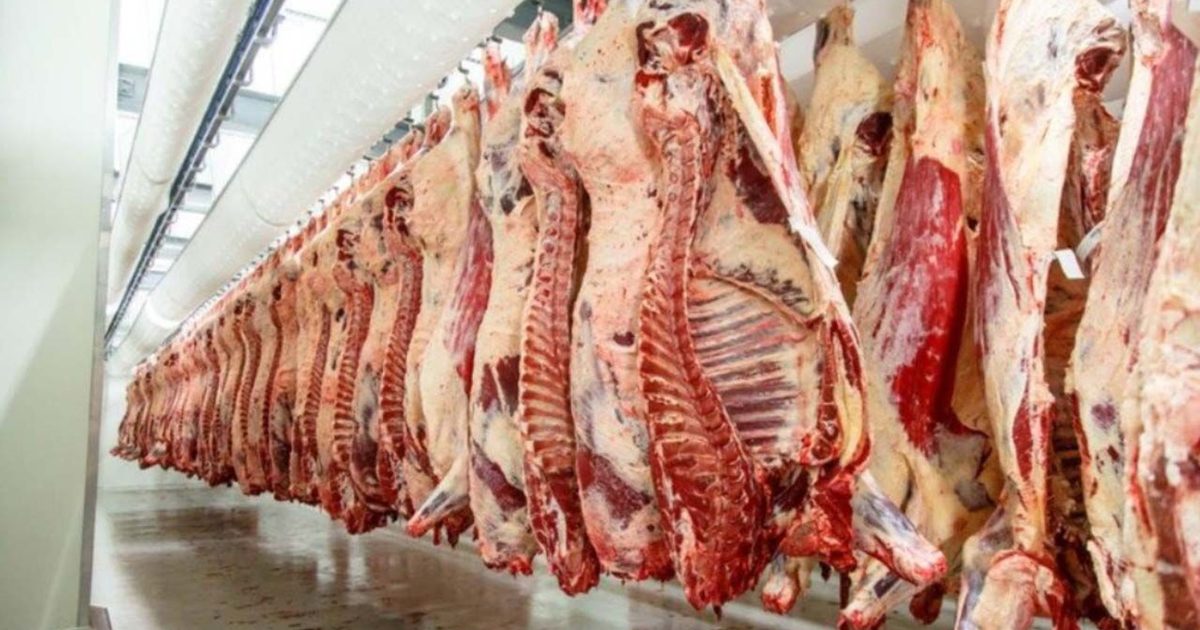 Karkas Et Kesim Fiyatlarında Bölgesel Makas Açılıyor