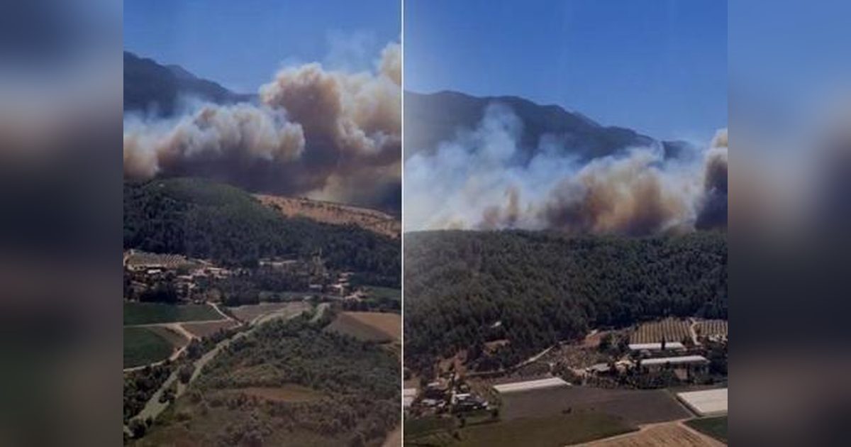 Fire Starting in Agricultural Area in Muğla Spreads to Forest