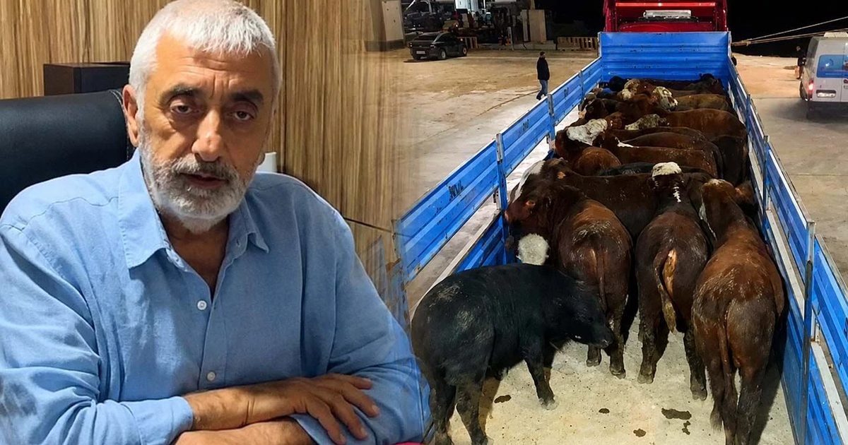Livestock Producers Demand Discount on Imported Animal Prices