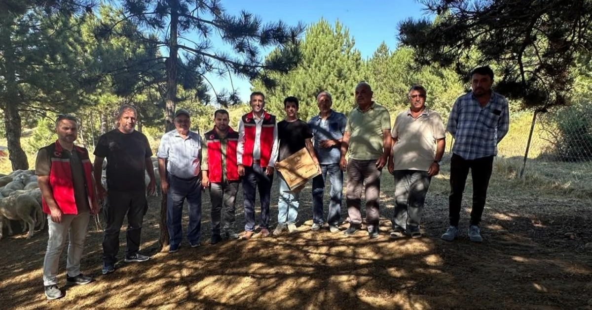 Zootekni Öğrencisi Uşak Yaylasında Sürü Yönetiyor