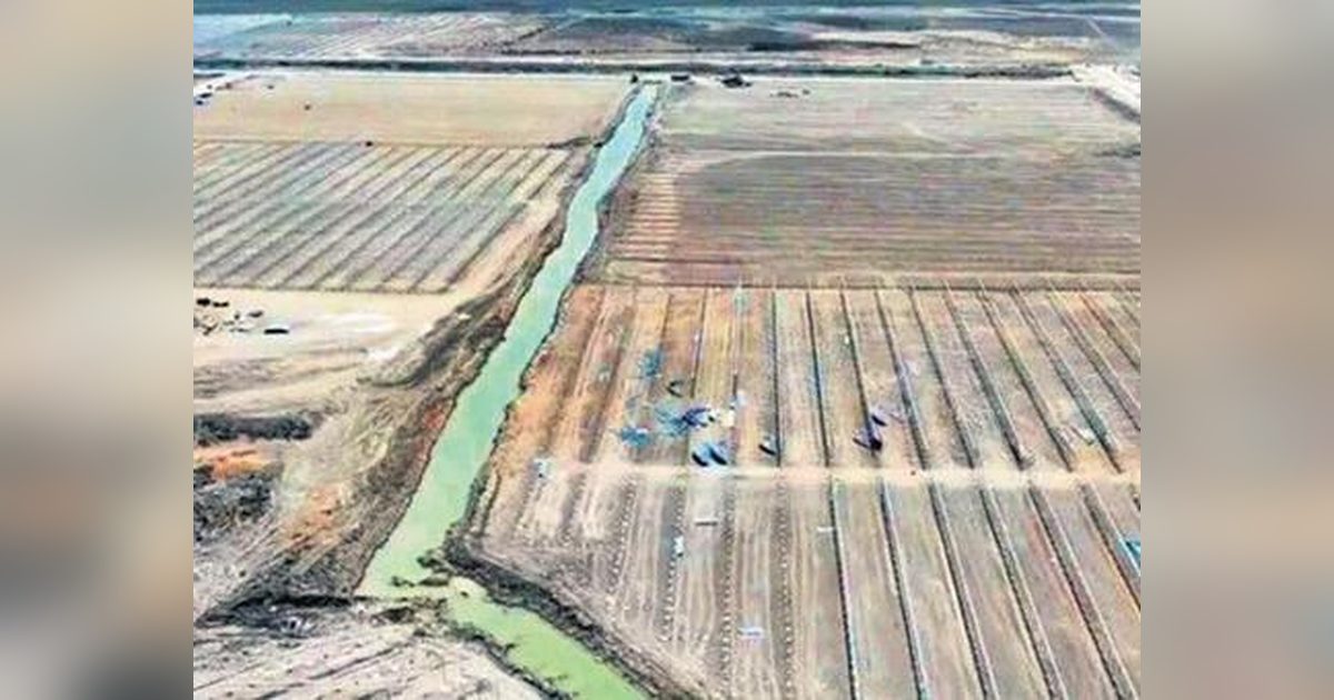 Adana'da 1,2 Milyar Liralık Modern Sera Yatırımı Başladı
