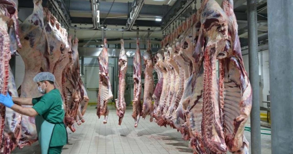Karkas Et Kesim Fiyatlarında Yükseliş Hız Kesmiyor
