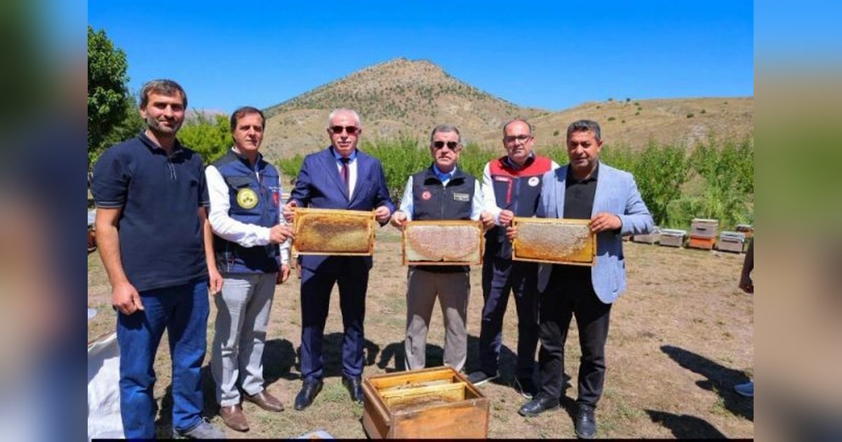 Bayburt'ta 430 Kovanda Sezonun Bal Sağımı Yapıldı