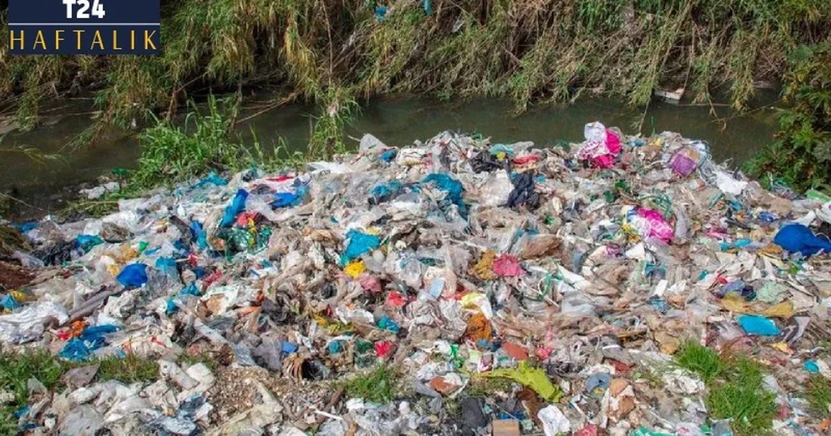 Microplastic Density in Mediterranean Reaches 65 Times the Average