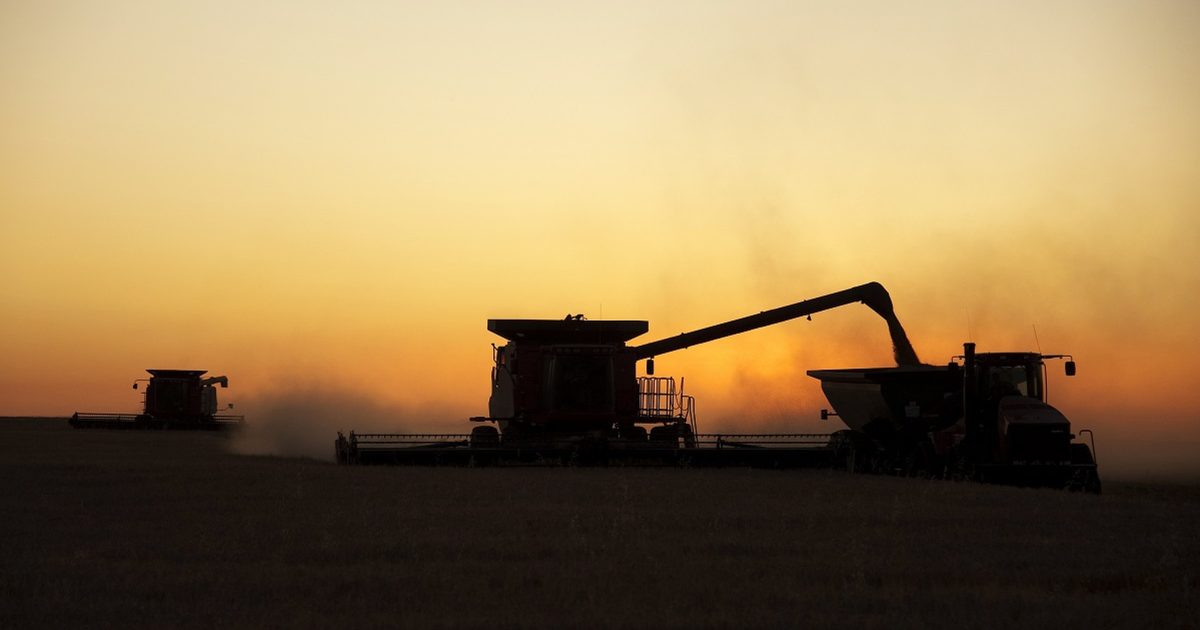 Russia Prepares to Suspend Grain Export Duties