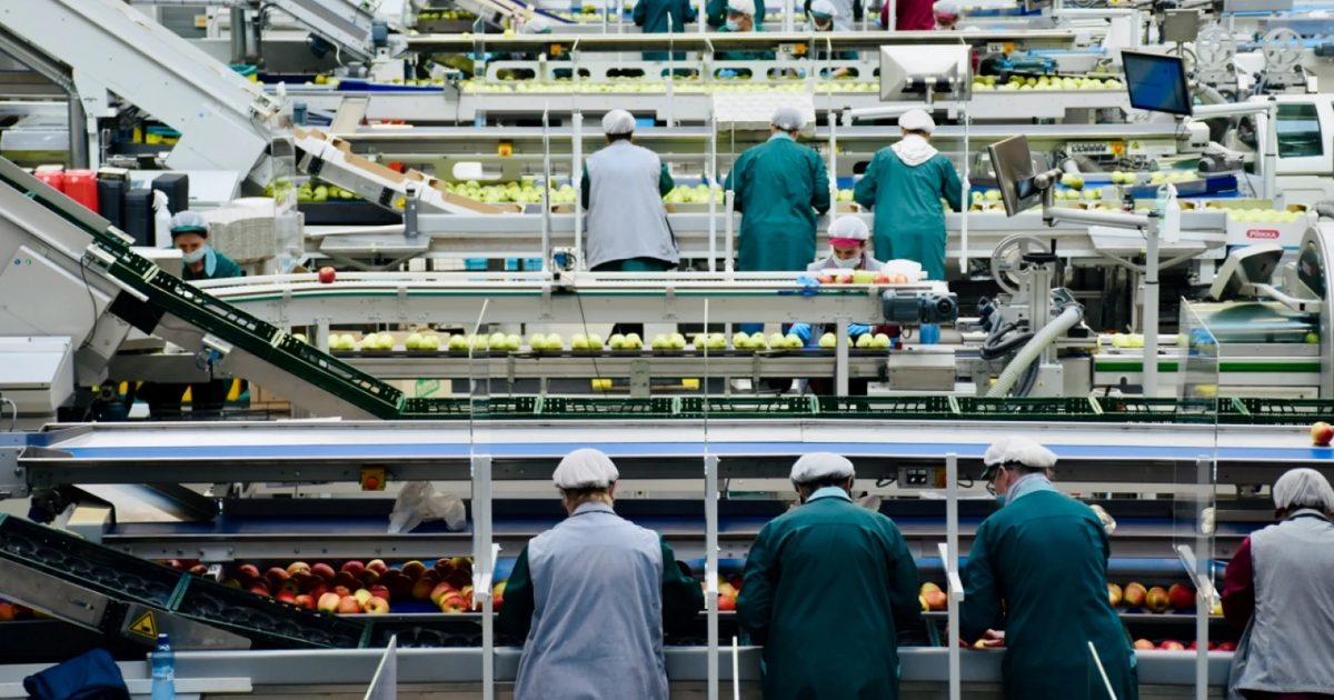 Küresel Gıda Sistemleri 2030 Hedeflerinin Gerisinde Kaldı
