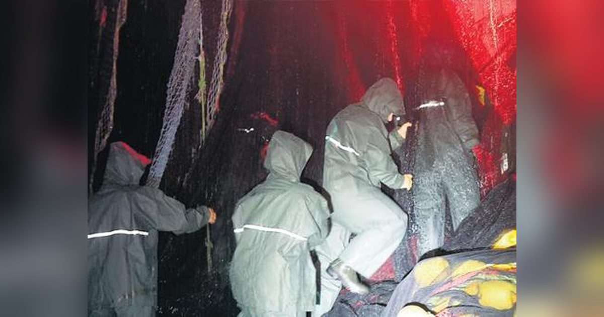 Fish Market Kicks Off Season with Historic Bonito Record