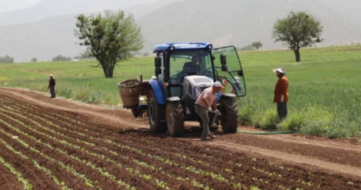 Küresel Et Pazarı Dönüşürken Türkiye İthalata Yöneliyor