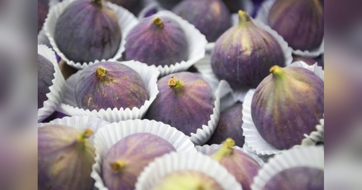 Fresh Fig Exports Target $100 Million