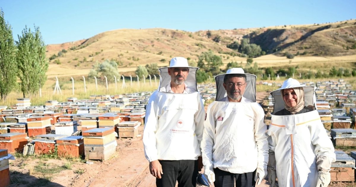 Türkiye 9 Milyon Kovanla Küresel İkinciliğini Koruyor