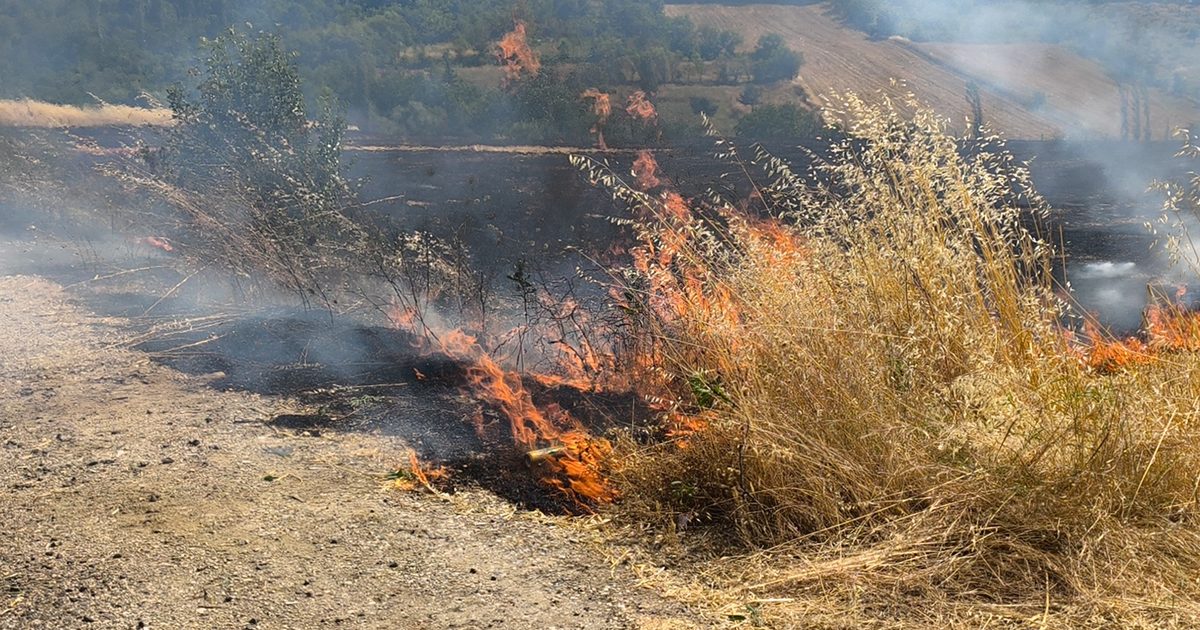 Increase Yield by Incorporating Stubble into Soil Instead of Burning It
