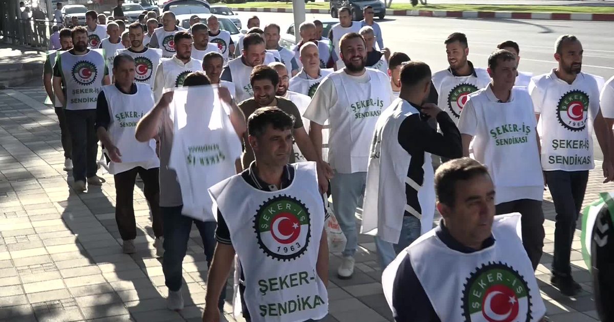 Şeker-İş Supports Sugar Investigation in 8 Provinces