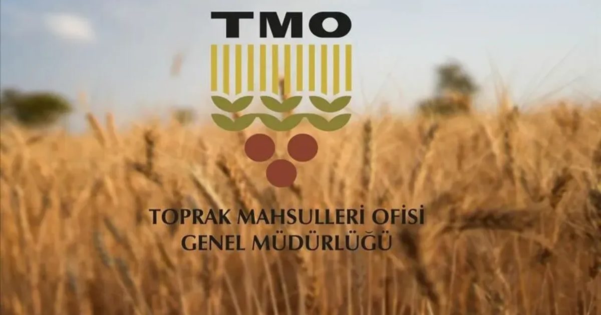TMO Hububat Alımlarında 23,3 Milyar TL Ödeme Yaptı
