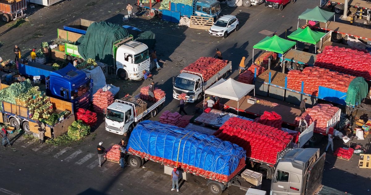 FAO Küresel Tarım Ticareti Raporunu Açıkladı