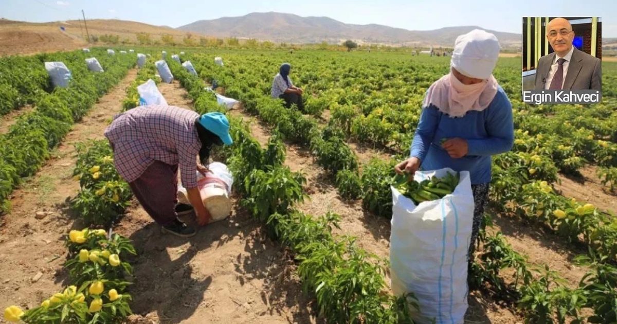 Tarımsal Üretim Değerinde Çiftlik Kapısı Fiyatı Belirleyici Oluyor