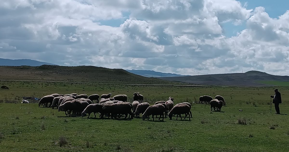 TÜRKYED Uyardı: Üreticiyi Korumak Tüketiciyi Korumaktır