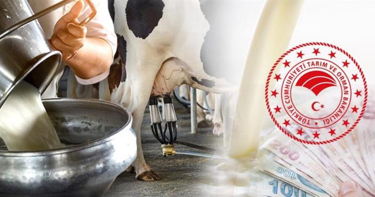 Çiğ Süt Üreticileri Destekleme Miktarının Açıklanmasını Bekliyor