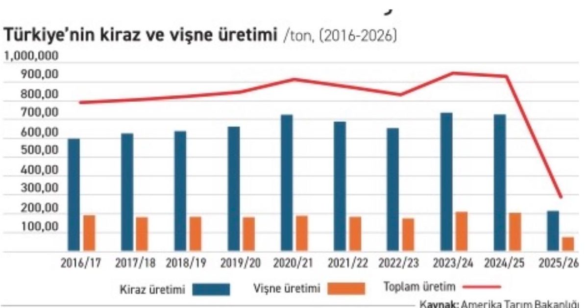 Meyvede Rekor Üretime Rağmen İhracatçı Rekabette Zorlanıyor