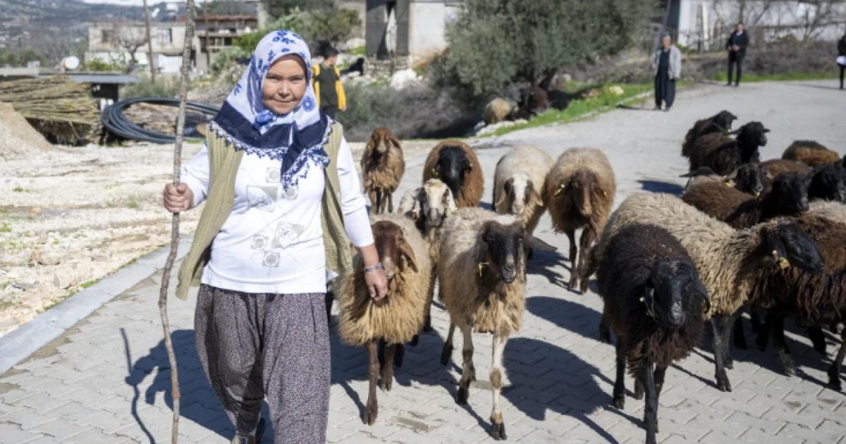 Çanakkale'de Küçükbaş Yetiştiricilerine 2 Milyon Liralık Faizsiz Kredi