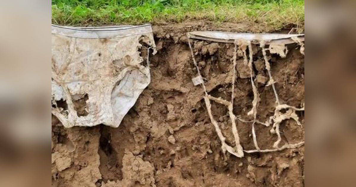 İsviçre'de Sıra Dışı Deneyle Toprak Canlılığı Ölçüldü