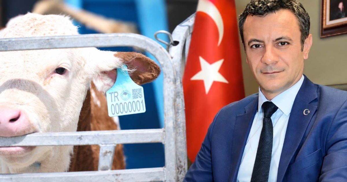 Hayvancılıkta Dijital Takip İçin 2030 Yol Haritası Belirlendi