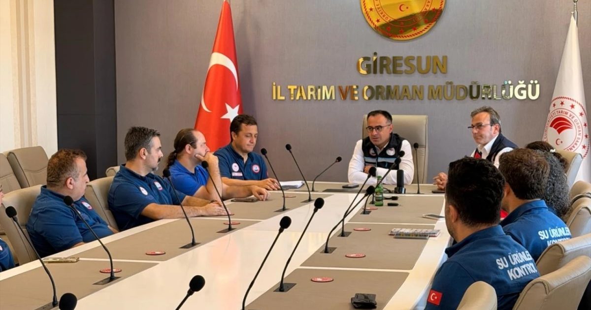 Giresun'da Balıkçılar Yeni Av Sezonuna Koordinasyonla Hazırlanıyor