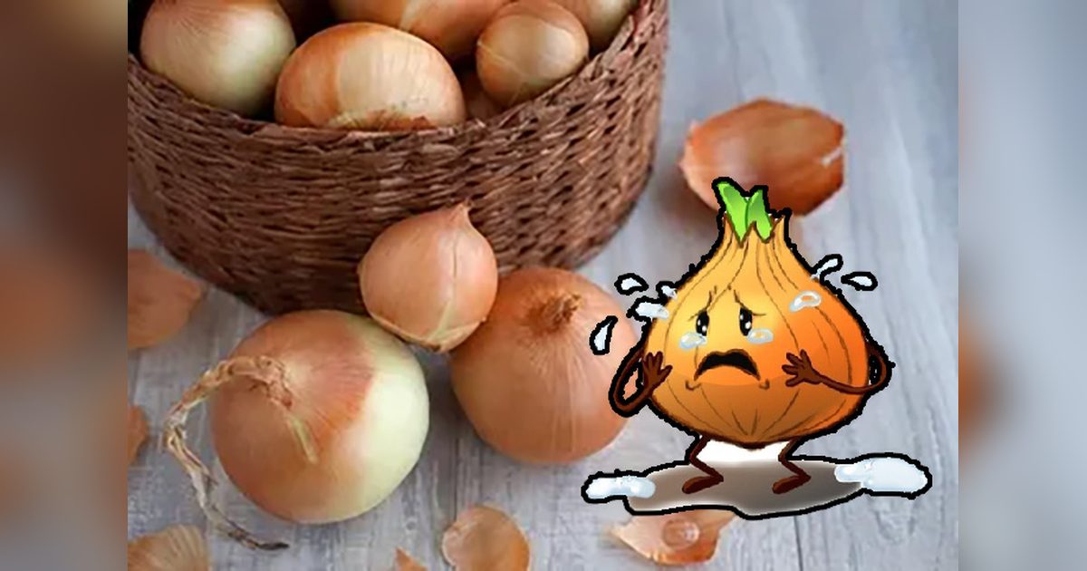 Bakanlık Kuru Soğan İthalatındaki Karantina Şartlarını Açıkladı