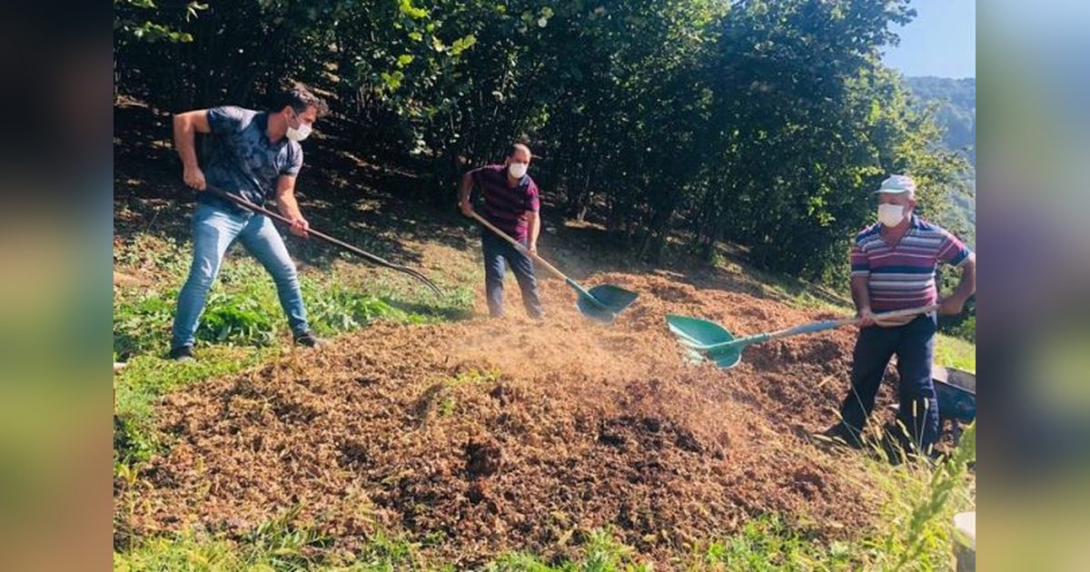 Giresun'da Üreticilere Fındık Zurufu İçin Kritik Uyarı