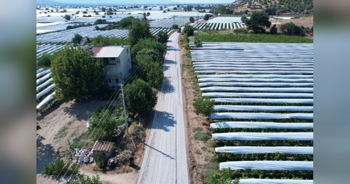 Sarıgöl'de Üzüm Hasadı İçin 6 Kilometrelik Yol Tamamlandı