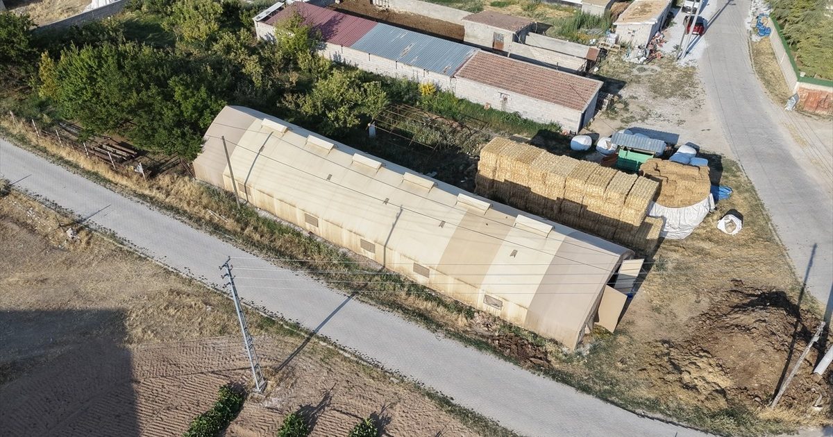 Aksaray'da Yetiştiricilere Yüzde 50 Hibeli Çadır Ağıl