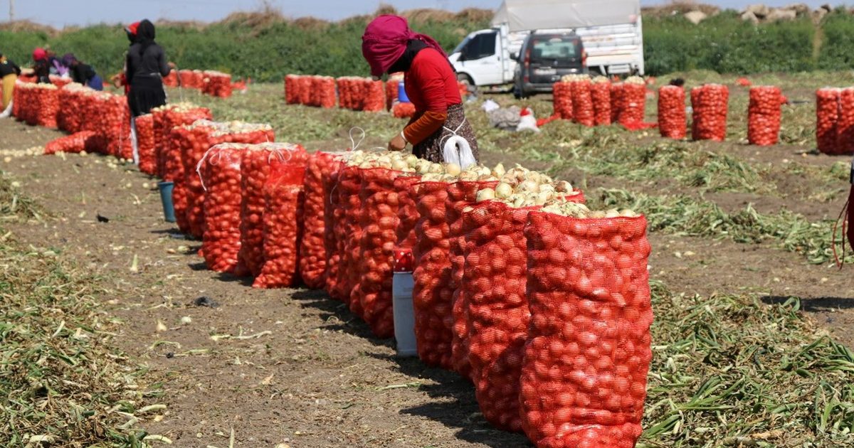 Tarımsal Üretimde Havza Bazlı İzin Dönemi Başlıyor