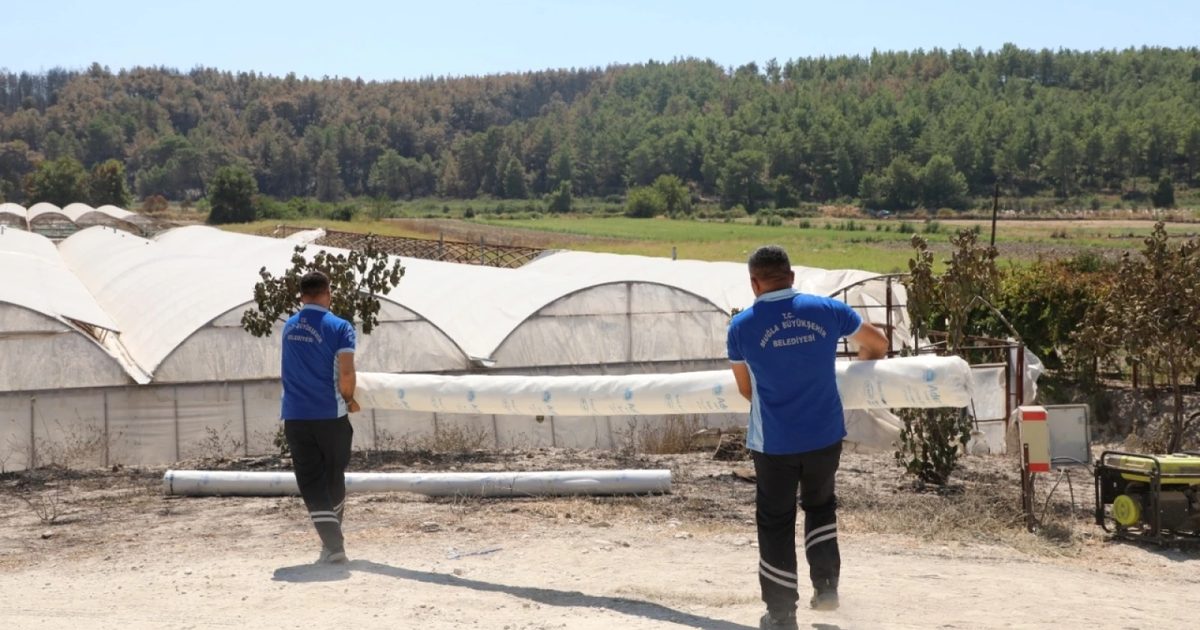 Greenhouse Support for Producer Damaged by Fire in Seydikemer
