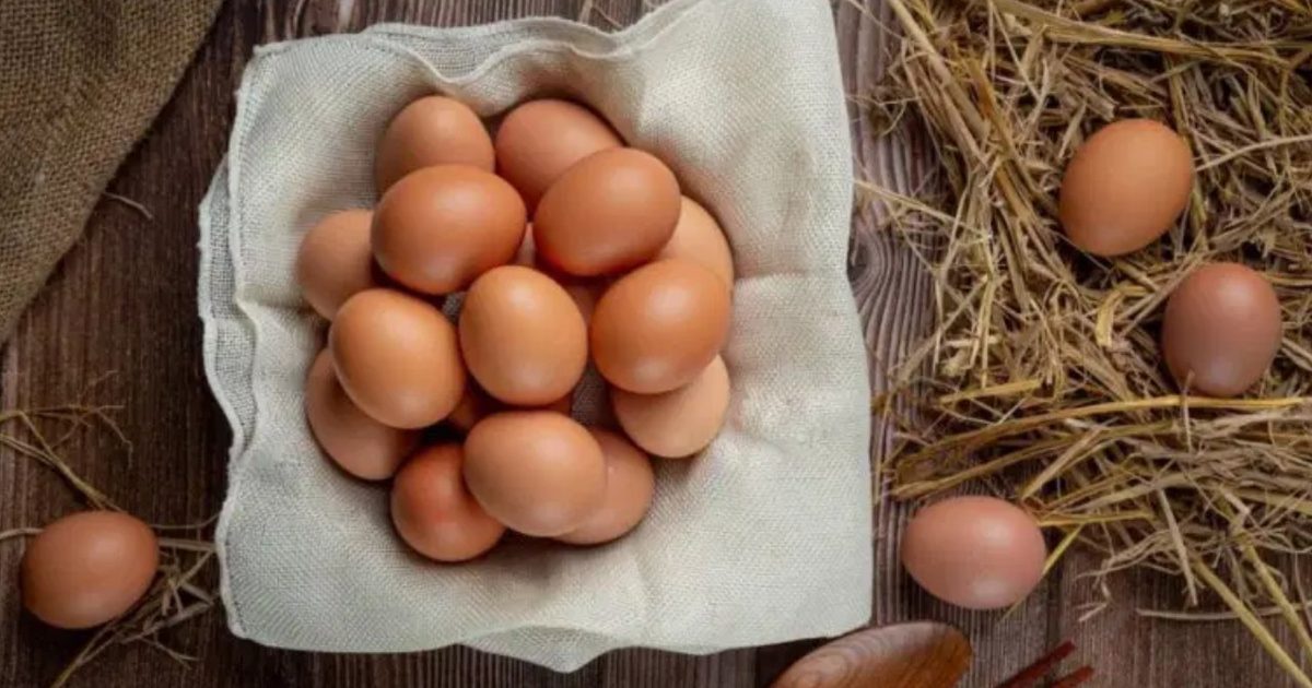 ABD'de Salmonella Salgını Nedeniyle 19 Milyon Yumurta Toplatılıyor