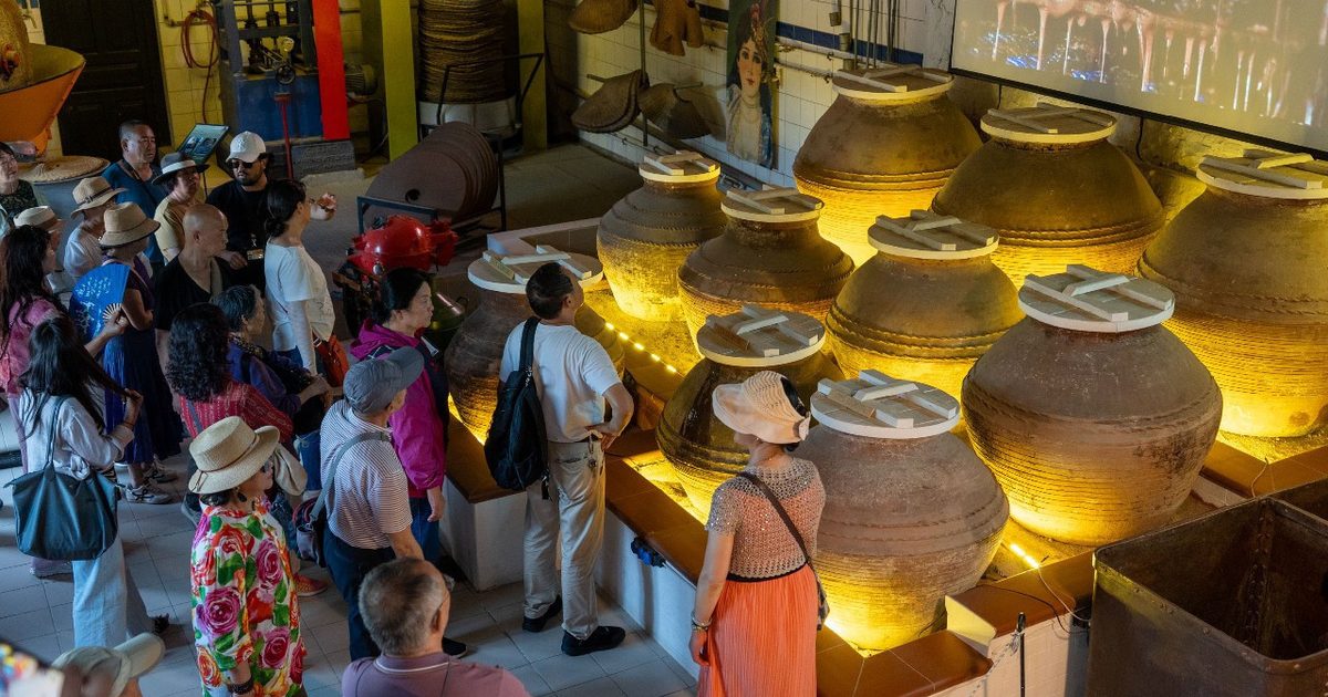 Çinli Turistler Çanakkale'de Türk Zeytinyağını Keşfetti