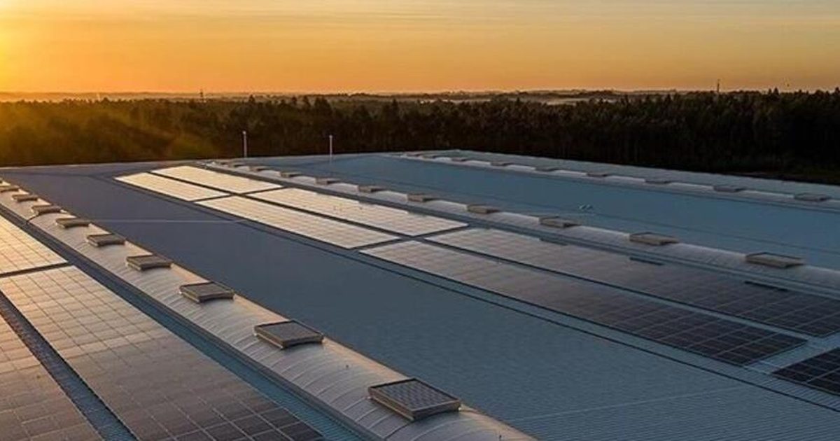 Yenilenebilir Enerjinin Elektrik Üretimindeki Payı Yüzde 58 Oldu