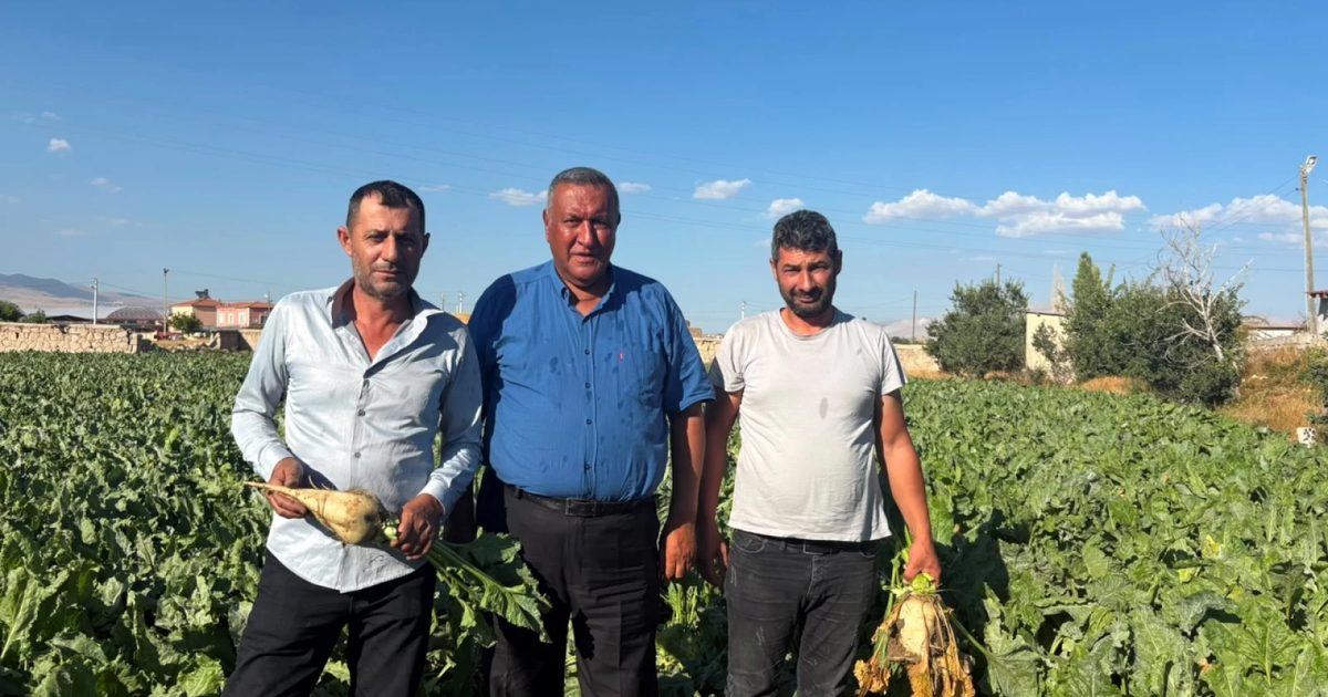 Sugar Beet Producers Demand 4,000 Lira Per Ton